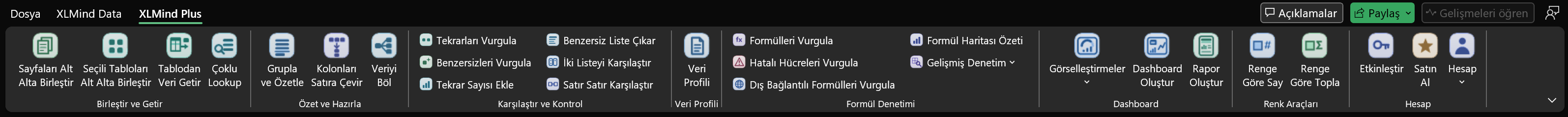 XLMind Plus şeridi, analiz ve raporlama araçları